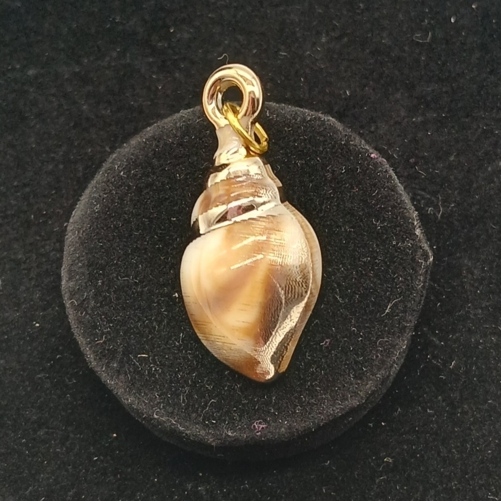 32x15mm Golden Seashell Acrylic Pendant #1​​​